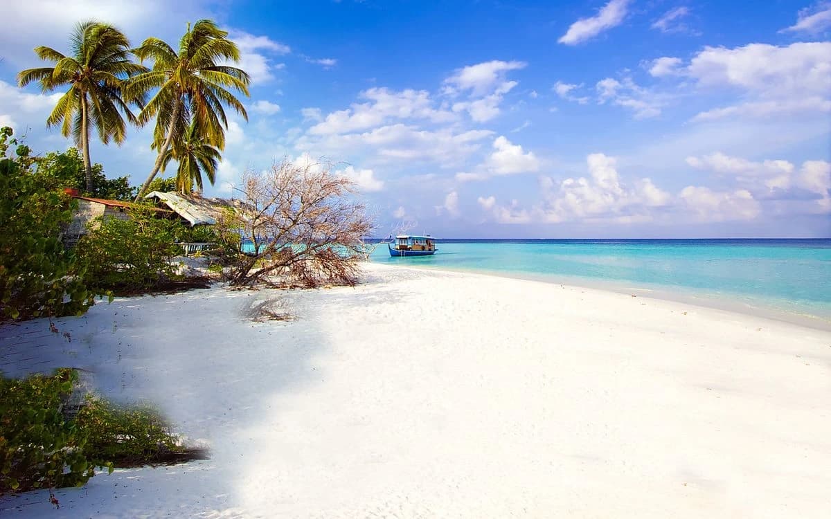 Spot Seru dan Tips Liburan ke Pulau Pari Naik Speedboat dari Jakarta